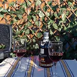 Terrace Douro *