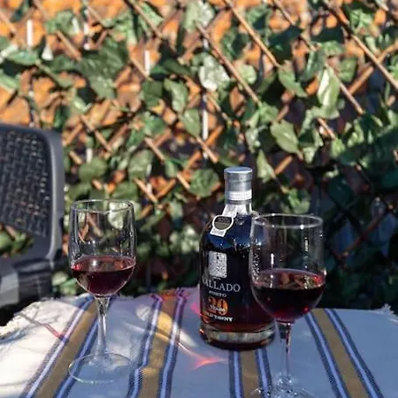 Terrace Douro *