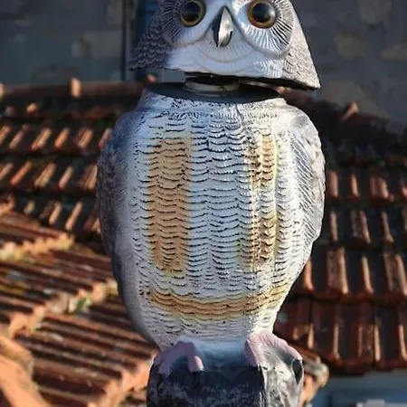 Apartmán Terrace Douro *