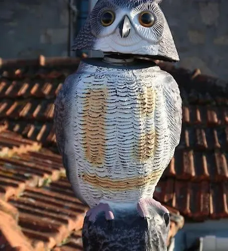 Lejlighed Terrace Douro *